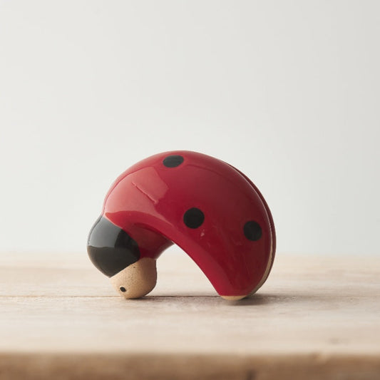 Ladybird Pot Hanger