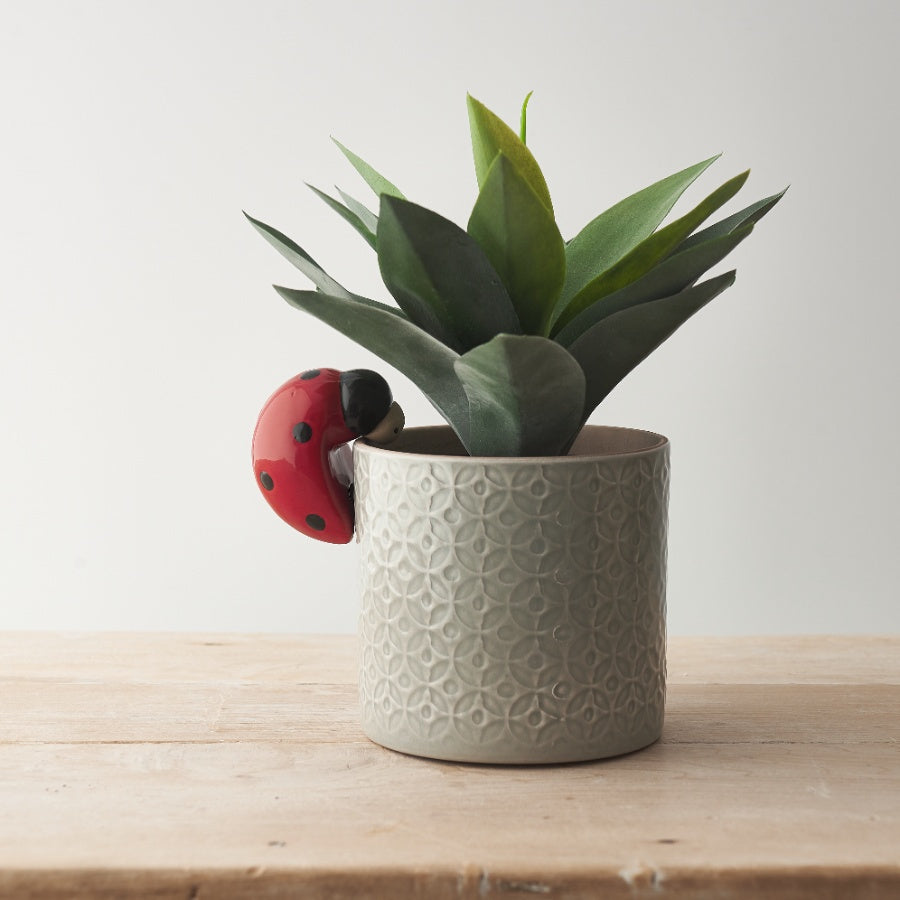 Ladybird Pot Hanger