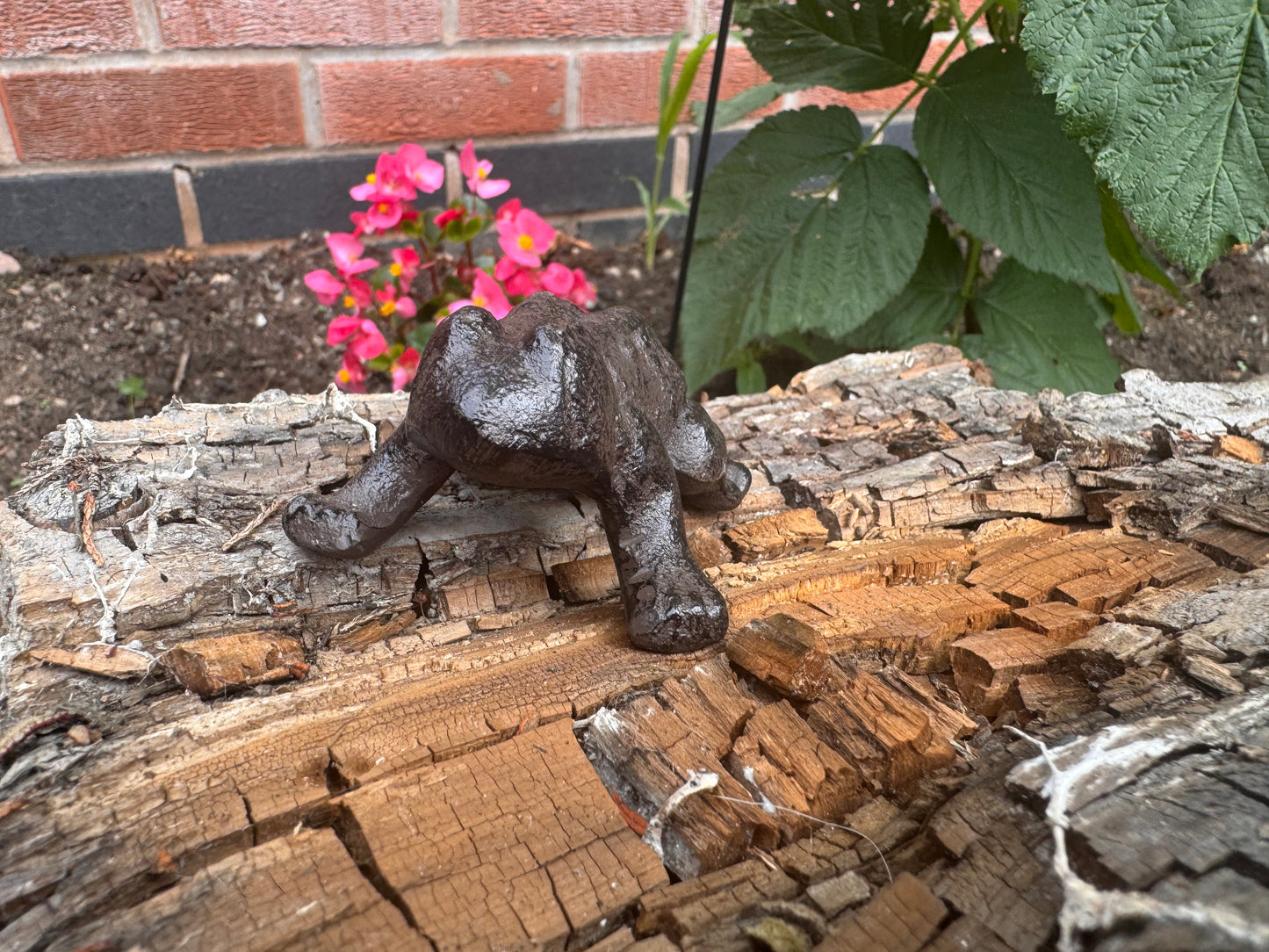 Cast Iron Frog