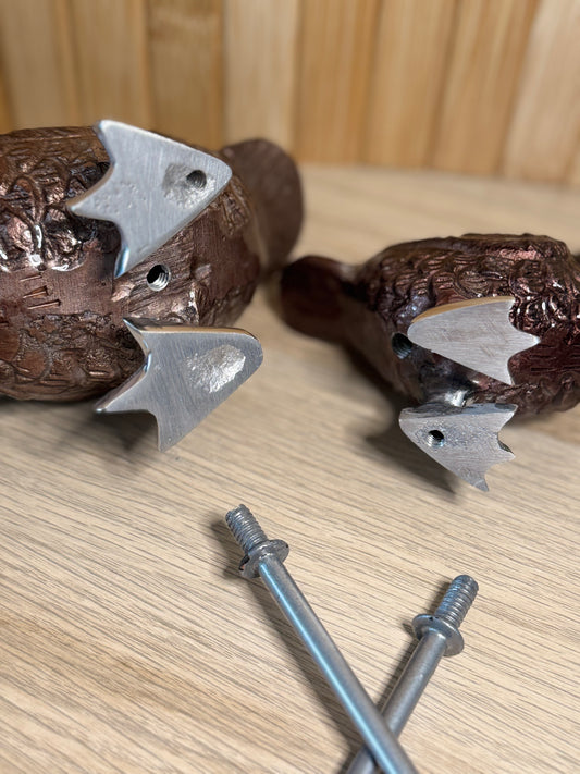 Brown duck