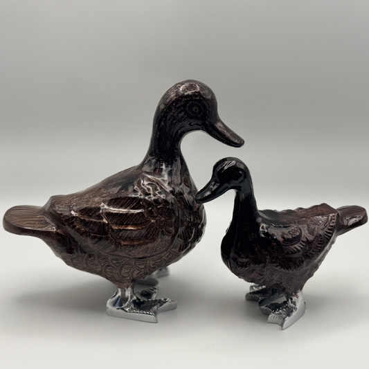 Brown duck