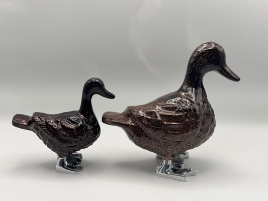 Brown duck