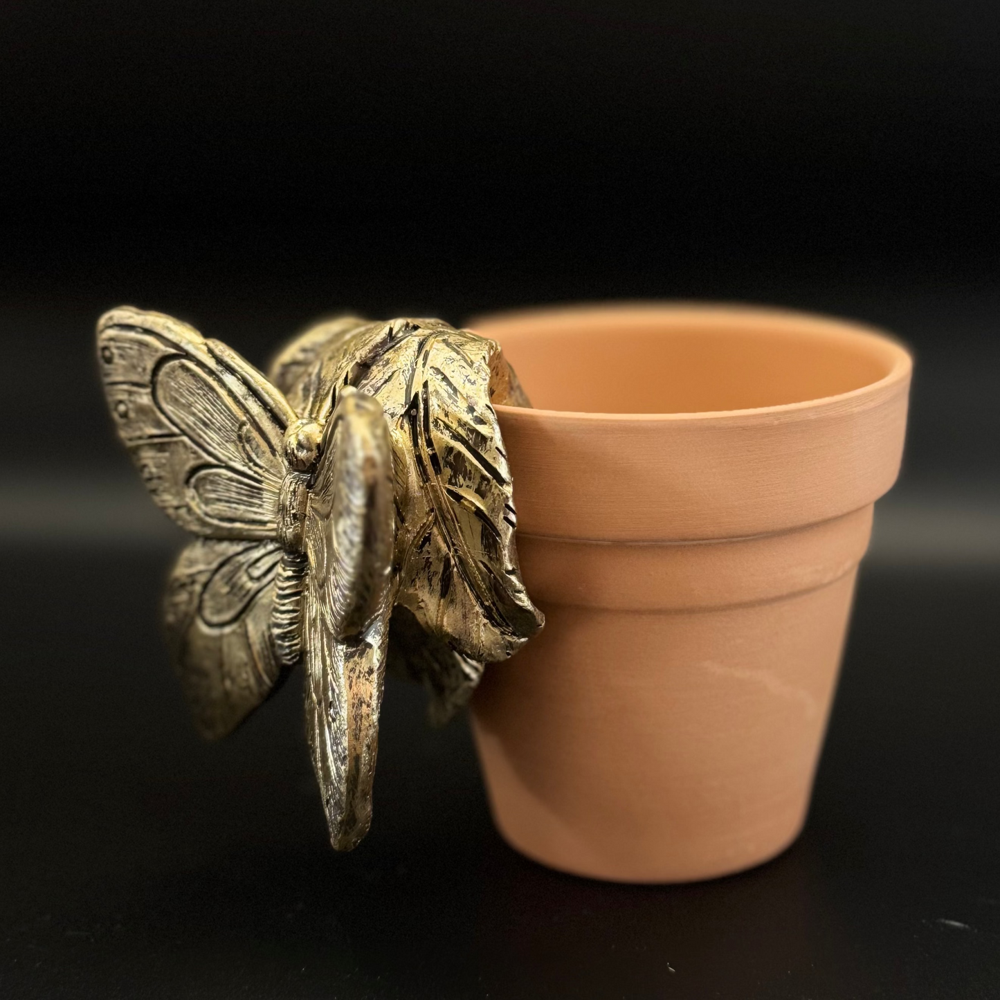 Butterfly Plant Pot Pal