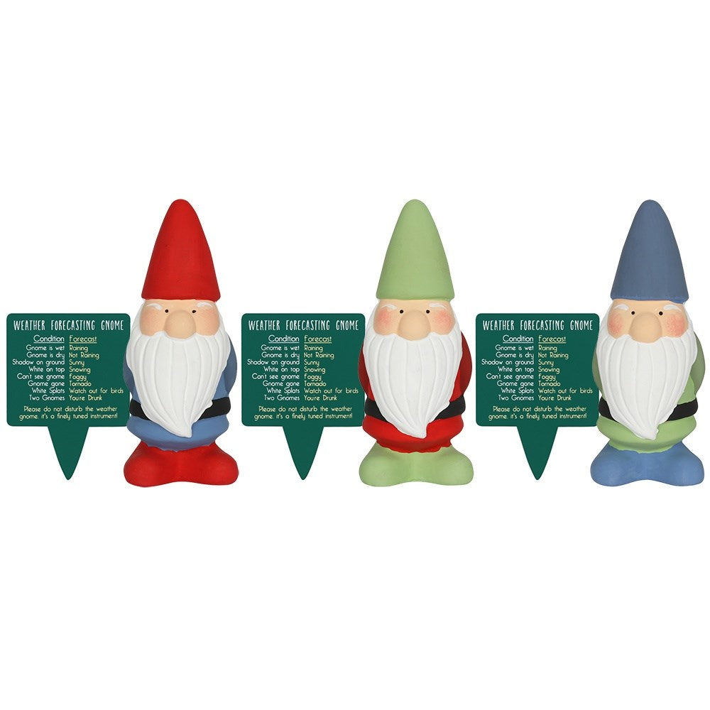 Terracotta Weather Gnome
