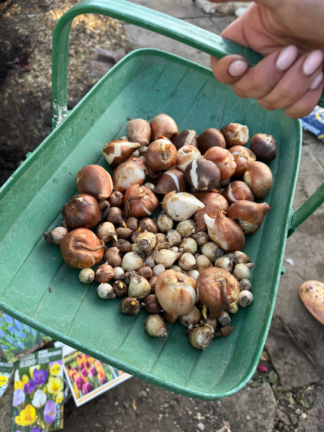 🍁 Autumn Garden Jobs: Preparing Your Garden for a Beautiful Spring | Winters Bloom