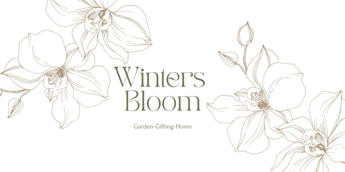 Welcome to Winters Bloom: Unique Garden Décor & Gifts Inspired by Nature