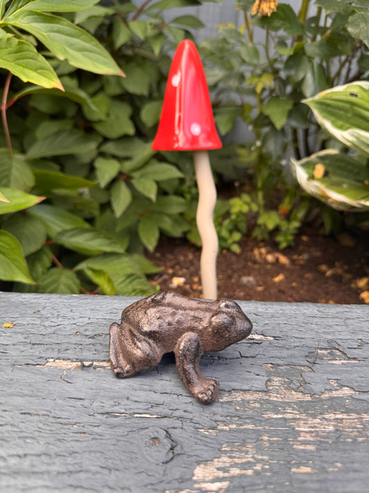 Cast Iron Frog
