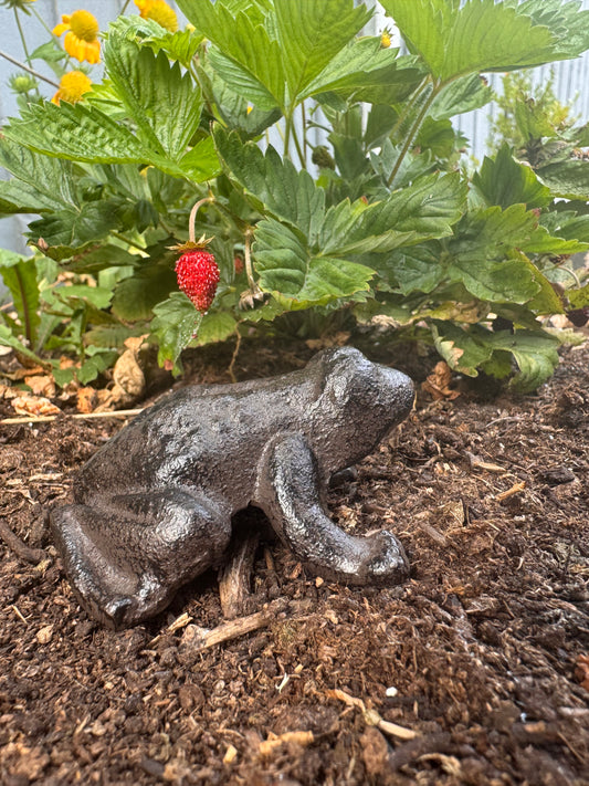 Cast Iron Frog