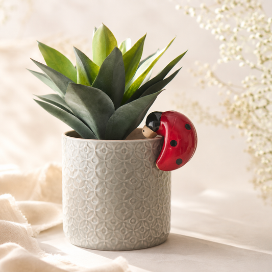 Ladybird Pot Hanger