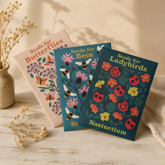 Botanical seed packets: Bee, Butterfly + Ladybird