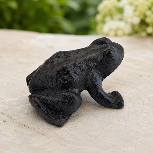 Cast Iron Frog