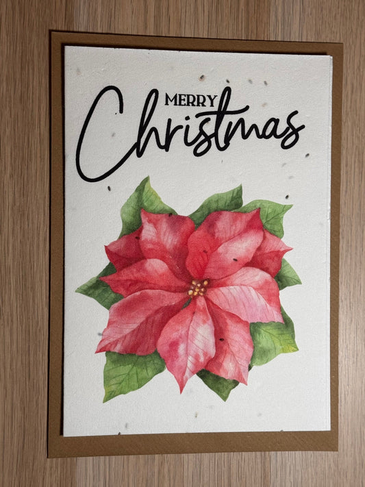 Christmas Card (Crysamthemum design)