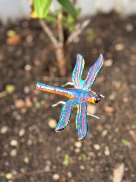 Multicolour Dragonfly