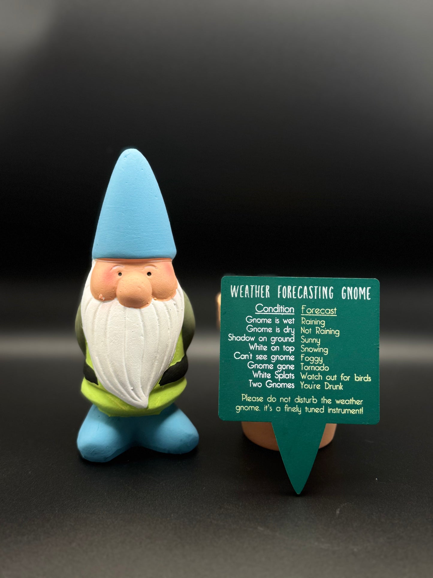 Terracotta Weather Gnome