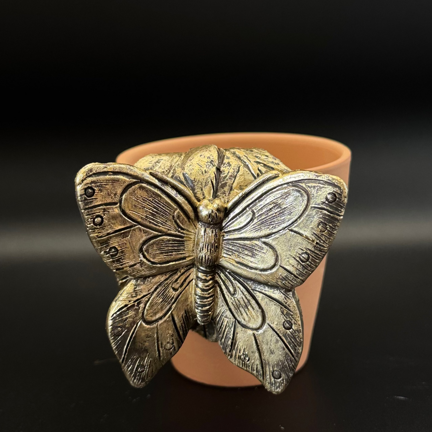 Butterfly Plant Pot Pal
