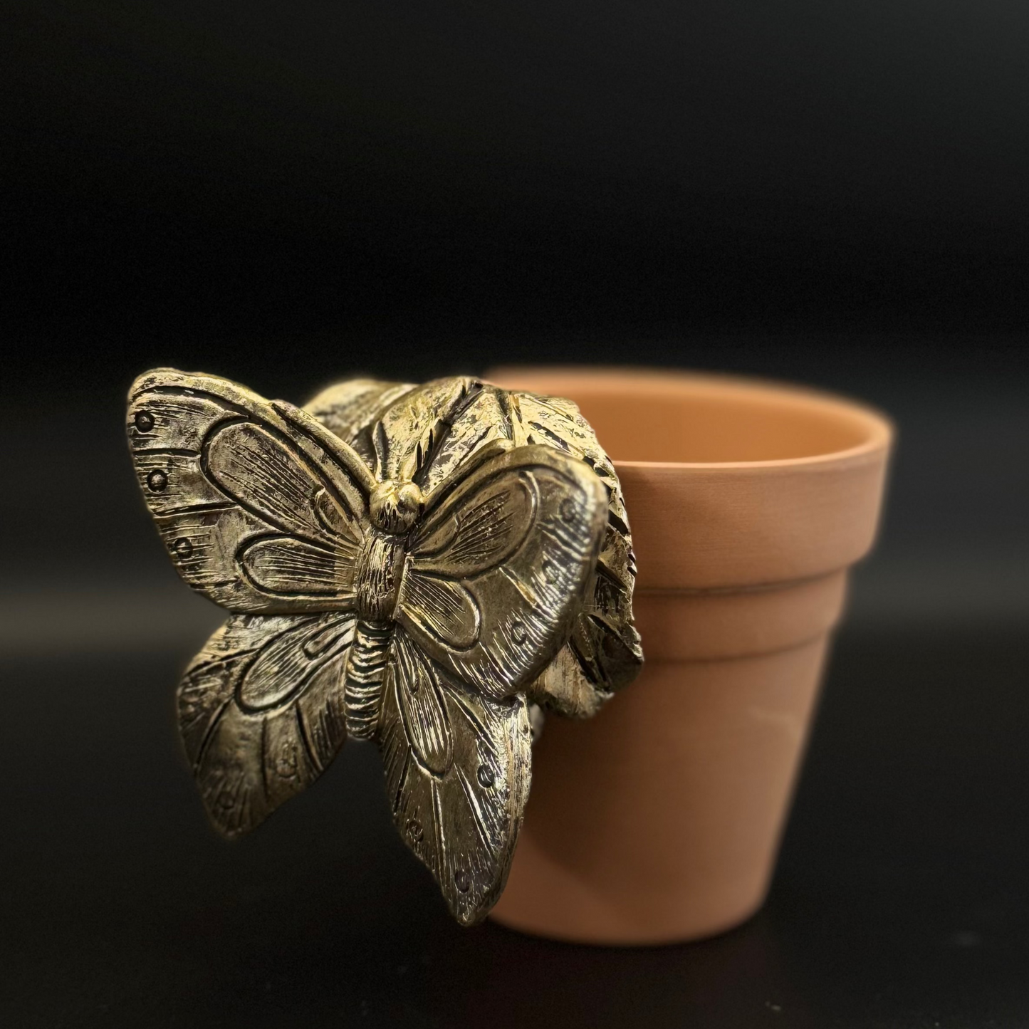 Butterfly Plant Pot Pal