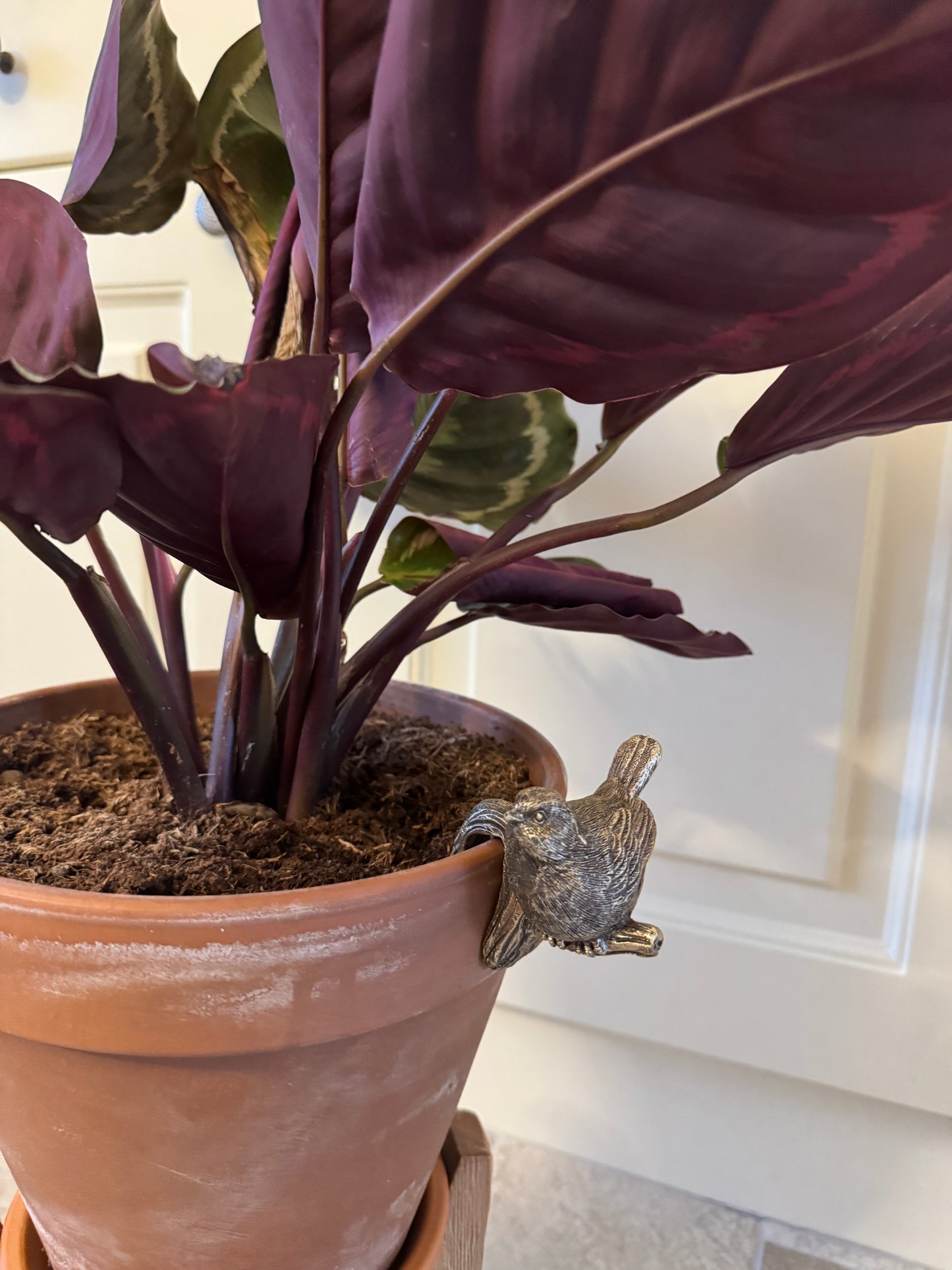 Robin Plant Pot Pal