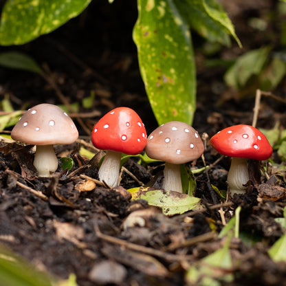 Mini Mushroon Pot Pal