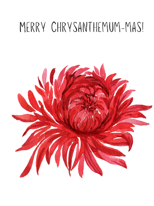 Christmas Card (Merry Crysamthemum-mas)