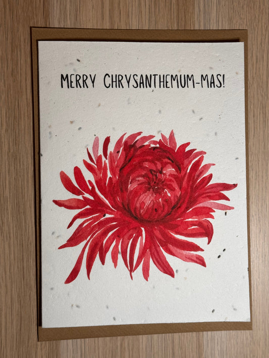Christmas Card (Merry Crysamthemum-mas)