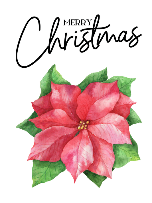 Christmas Card (Crysamthemum design)