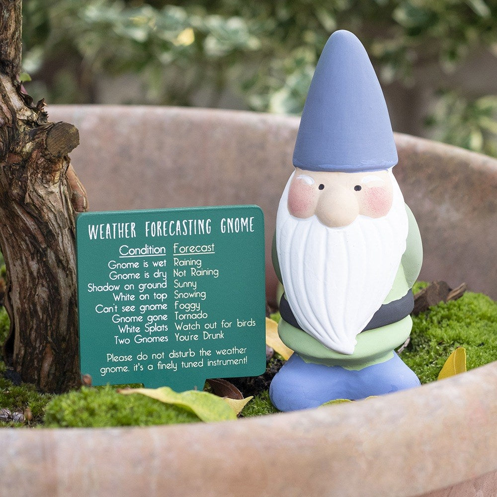 Terracotta Weather Gnome