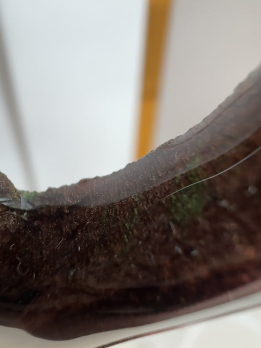 Bird Tree Of Life Wall Plaque  (40 cm)